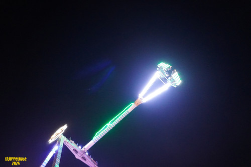 DSC08342 Watermarked.jpg