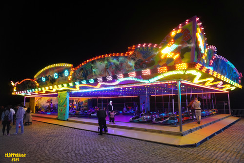 DSC08259 Watermarked.jpg