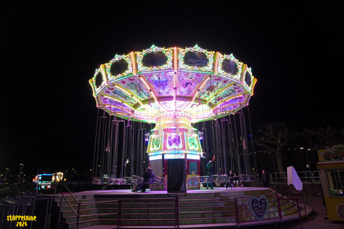 DSC08263 Watermarked.jpg