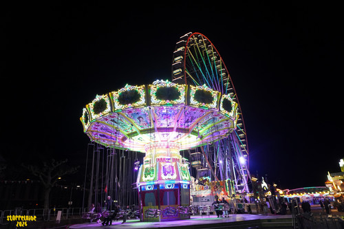 DSC08265 Watermarked.jpg