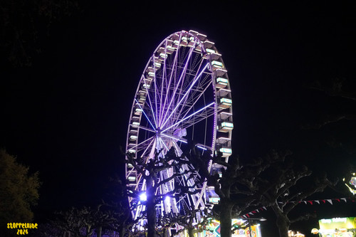 DSC08257 Watermarked.jpg