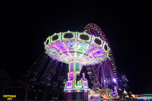 DSC08270 Watermarked.jpg