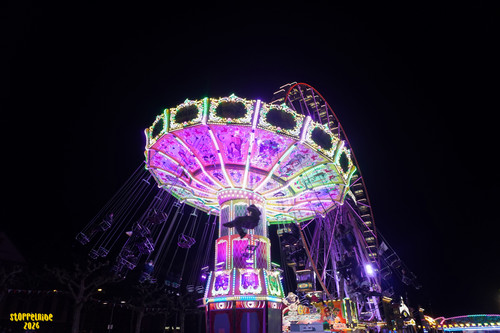 DSC08271 Watermarked.jpg