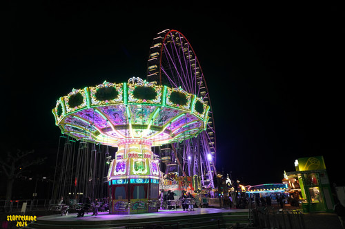 DSC08268 Watermarked.jpg