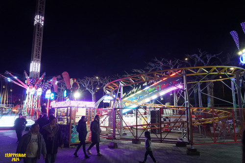 DSC08355 Watermarked.jpg