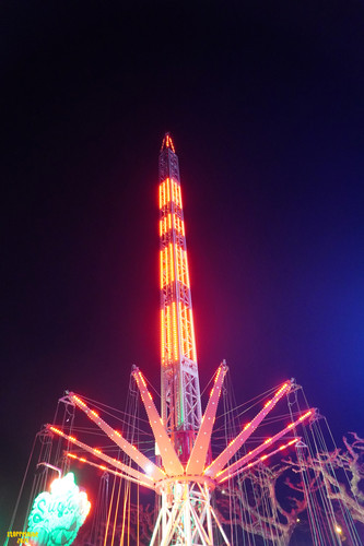 DSC08359 Watermarked.jpg