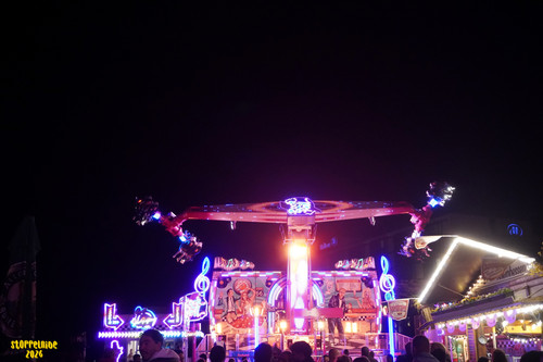 DSC08364 Watermarked.jpg