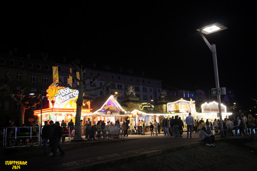 DSC08278 Watermarked.jpg