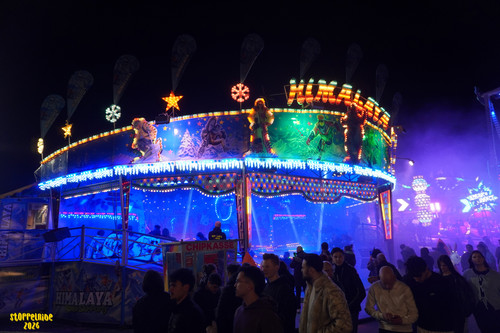 DSC08294 Watermarked.jpg