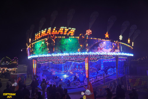 DSC08300 Watermarked.jpg