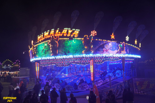 DSC08298 Watermarked.jpg