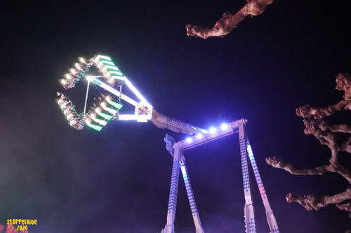 DSC08320 Watermarked.jpg