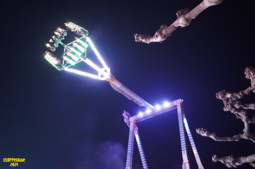 DSC08322 Watermarked.jpg