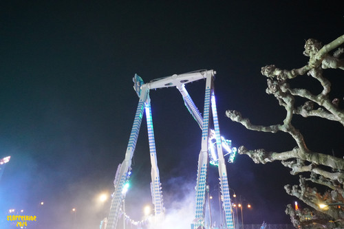 DSC08321 Watermarked.jpg