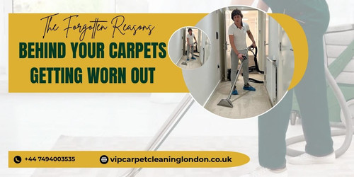 The Forgotten Reasons Behind Your Carpets Getting Worn Out.jpg