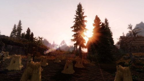 landscape 15422944247 o