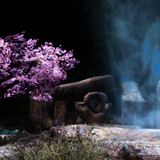 landscape 12771487624 o