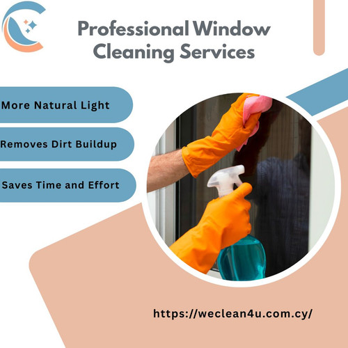 Professional Window Cleaning Services.jpg