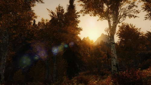 landscape 13844335974 o