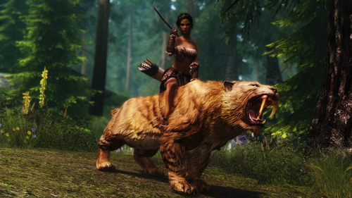 leliana 19227040600 o