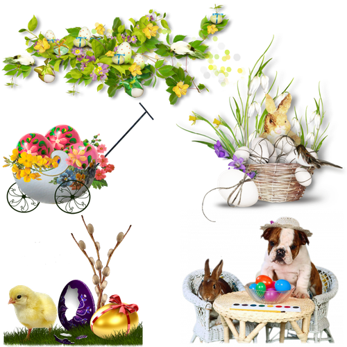 mod article41324711 4f48832f86d4a (1).png