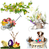 mod article41324711 4f48832f86d4a (1)