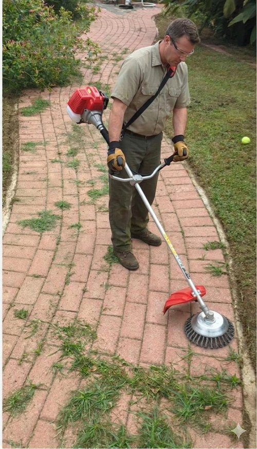 WhatsApp Image 2026 03 31 at 14.26.16.jpg