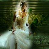 (175)Tops Headers (Aangepast)