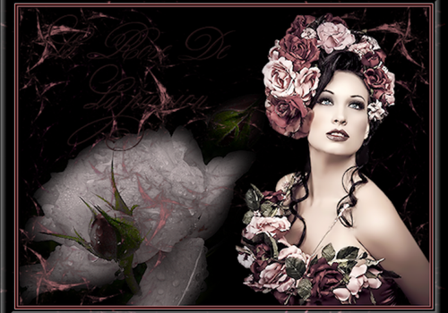 (76)Tops Headers.png