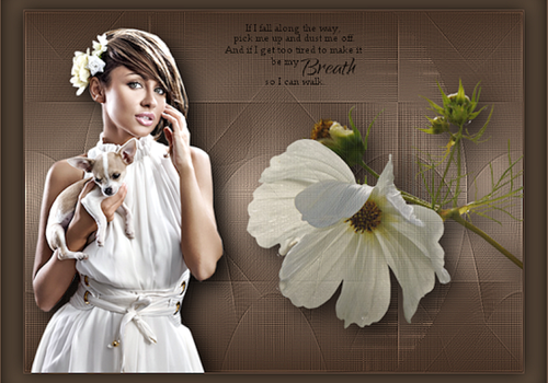 (193)Tops Headers.png