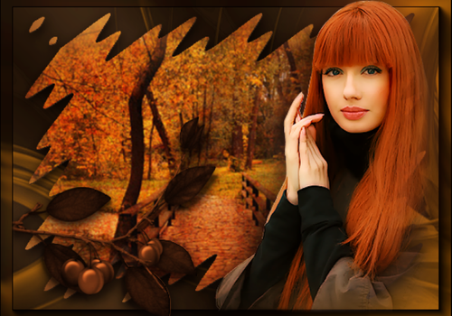 (202)Tops Headers.png