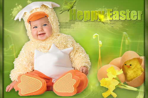 (199)Tops Headers (Aangepast).png