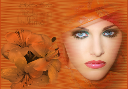 (80)Tops Headers.png