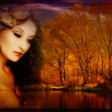 (210)Tops Headers (Aangepast)