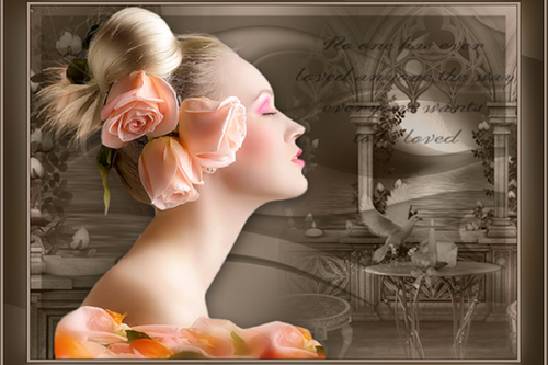 (158)Tops Headers (Aangepast).png