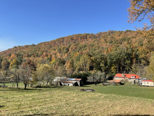 Our family on the farm