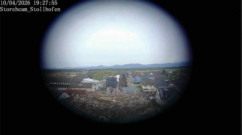 MWSnap049.jpg