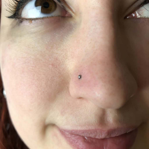 PIERC Ceci Nostril.jpg