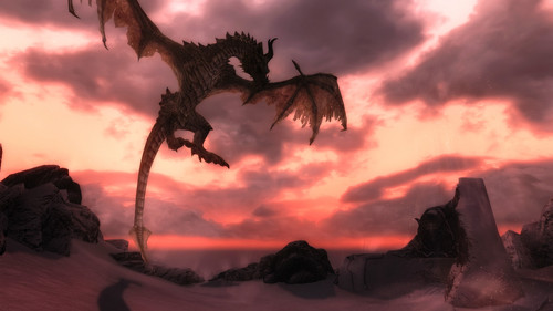 paarthurnax 15577453353 o