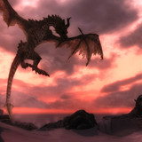 paarthurnax 15577453353 o
