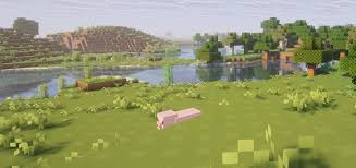 download.jpg