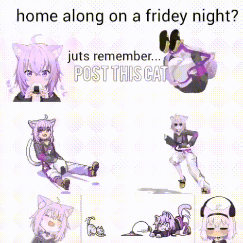cat.gif