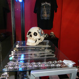 Local 13 006