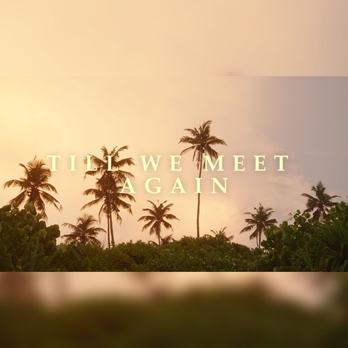Sinky Beatz - Till We Meet Again