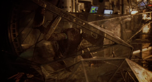 vlcsnap 2026 04 10 10h06m50s933.png