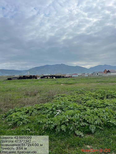 photo 5 2026 04 10 21 01 11.jpg