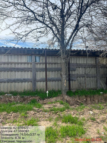 photo 15 2026 04 10 21 01 11.jpg