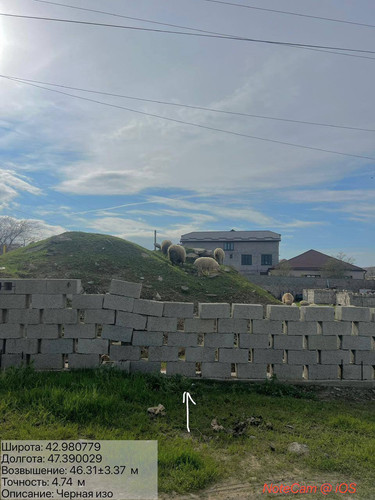 photo 17 2026 04 10 21 01 11.jpg