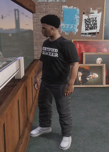 GTA5 Enhanced cs16HfjTaW.jpg