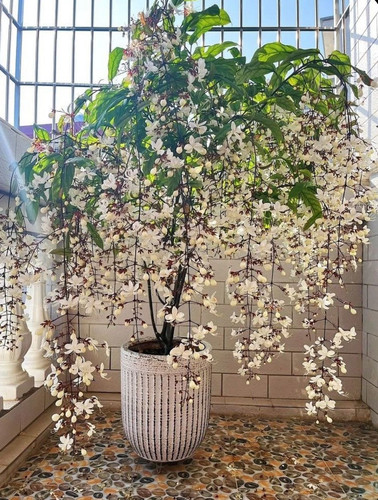 WhatsApp Image 2025 10 23 at 12.55.56 AM.jpg